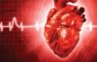 Yeğeni ve Eniştesinin Ölümüne Kalbi Dayanmadı