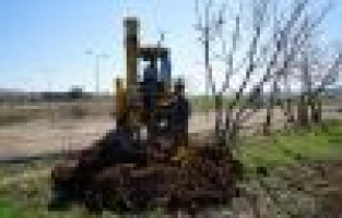 Yeni mezarlıkta bahar hazırlığı