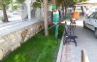 Yeşil alanlarda bakım ve temizlik çalışması