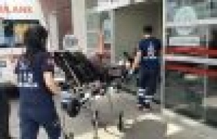 Yılanın soktuğu kadın hastanelik oldu