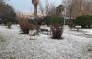 Yılın ilk karı düştü