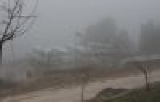 Yoğun sis hayatını olumsuz etkiledi