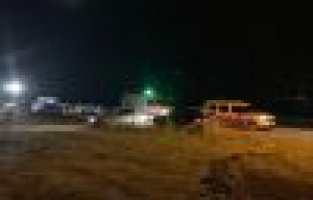 Yol kenarında ölü bulundu