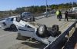 Yola çıkan köpek kazaya neden oldu: 1 yaralı