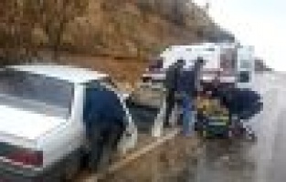 Yola düşen ağaç kazaya neden oldu