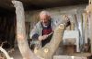 Yüzyıllık kütüklerin mantar mobilyaya yolculuğu