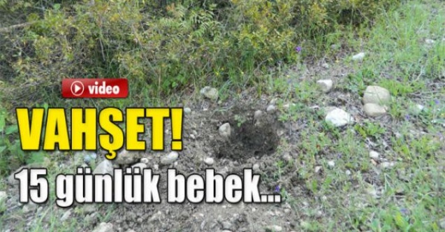15 GÜNLÜK BEBEĞİ BÖCEKLER YEDİ..!