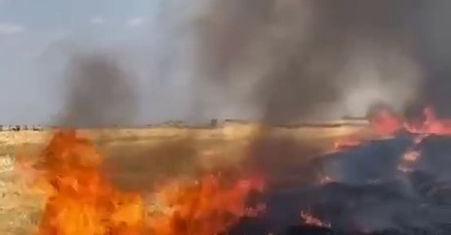 Anız yangını korkuttu