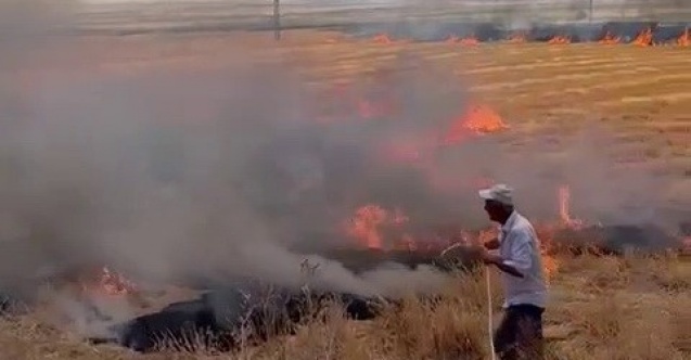 Ağaçları yanmasın diye yoğun mücadele verdi
