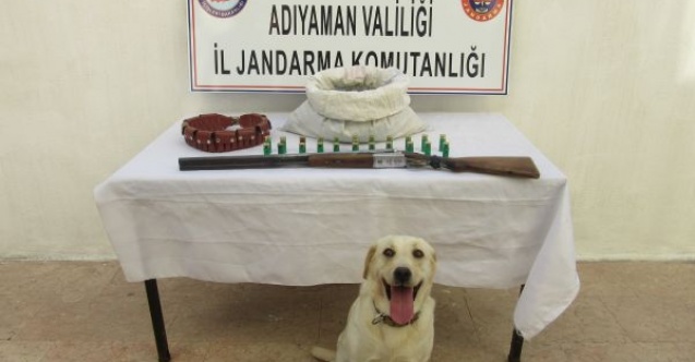 2 Kilo esrar 5 bin 170 kök kenevir ele geçirildi