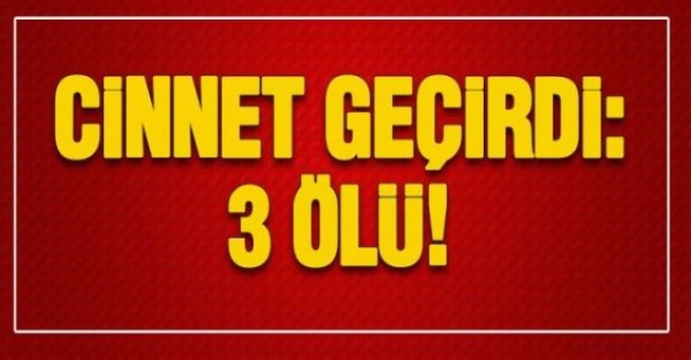 3 Kişinin öldüğü cinnetin detayları ortaya çıktı