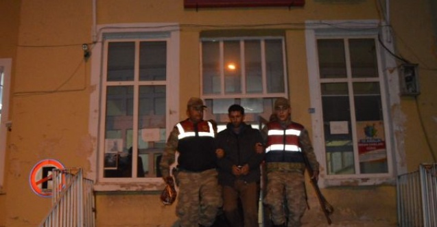 5 İlde Eş Zamanlı Hayvan Hırsızlığı Operasyonu