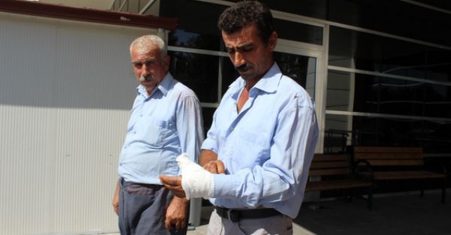 Acemi kasaplar iş başında