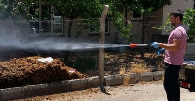 Adıyaman Belediyesinin haşere İle mücadelesi sürüyor