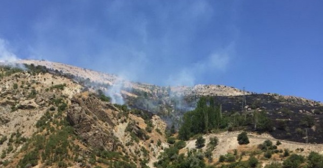 Adıyaman Malatya arasında orman yangını