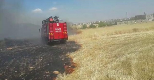 Adıyamanda buğday yangını