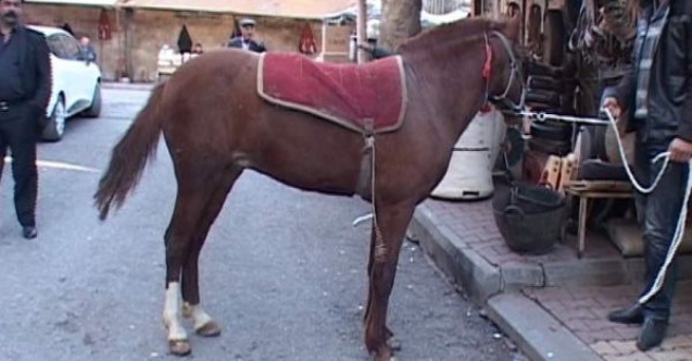 Adıyamanda, Nalbant Mesleği Tarihe Karışıyor