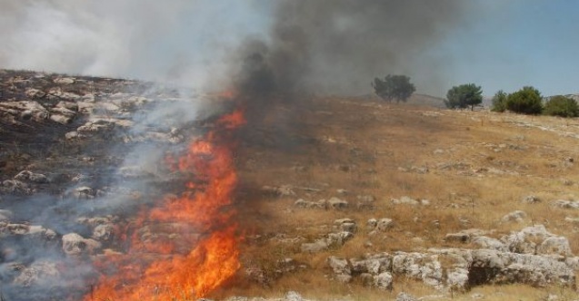 Adıyamanda orman yangını büyüyor