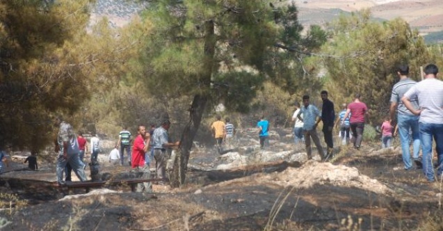 Adıyamanda, orman yangını kontrol altına alındı