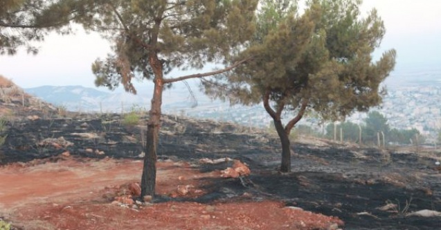 Adıyamanda orman yangını söndürüldü