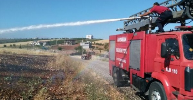Adıyamanda tarla yangını: 2 dönümlük buğday kül oldu