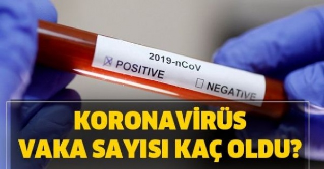Adıyamandaki korona vaka sayısı