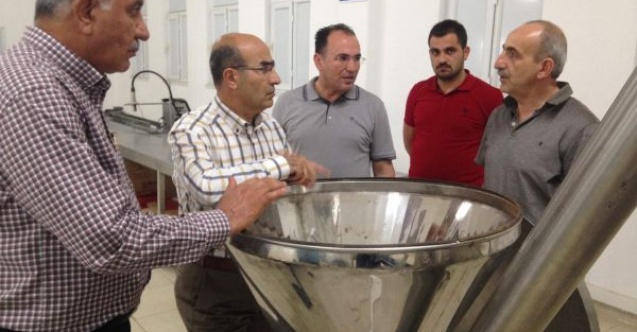 ADIYAMANDAN AVRUPAYA DAMAK TADI İHRACATI