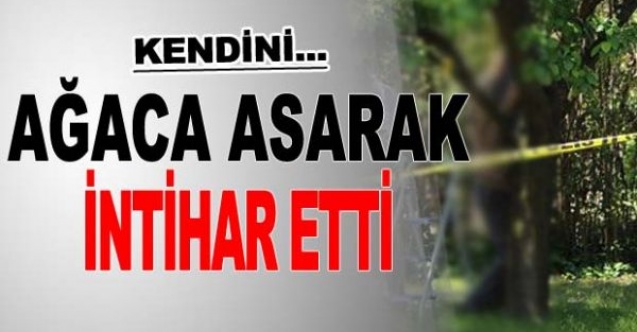 Ağaca asarak canına kıydı