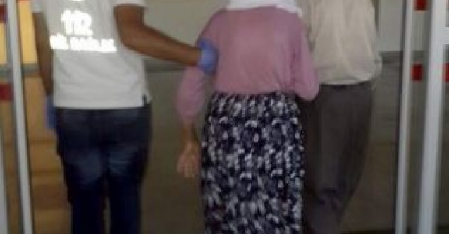 Akrebin soktuğu yaşlı kadın hastanelik oldu