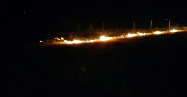 Anız Yangını Zarara Yol Açtı