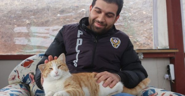 Annesini kazada kaybeden yavru kediye polisler sahip çıktı