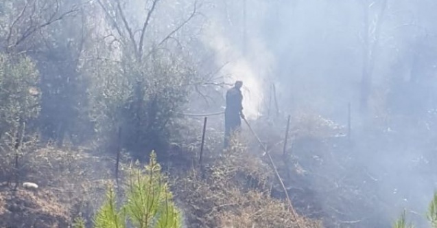 Bahçe yangını korkuttu