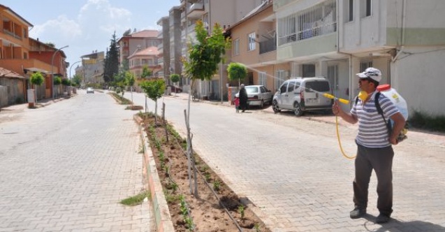 BÖCEKLERE KARŞI İLAÇLAMA ÇALIŞMALARI DEVAM EDİYOR