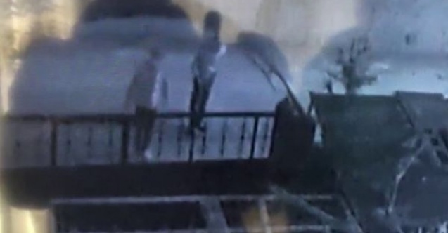 Bunlarda tavuk hırsızları