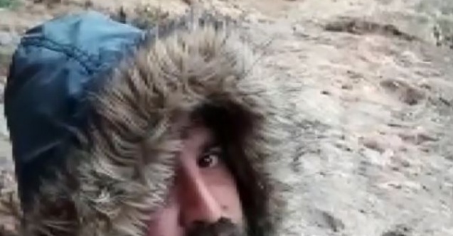 Çizgili sırtlan ile özçekim