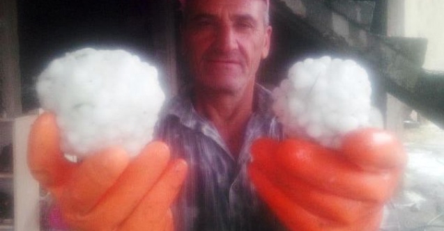 Fıstık bahçelerini ve ekinleri dolu vurdu