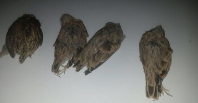 Gölbaşı ilçesinde kaçak avcılara geçit yok