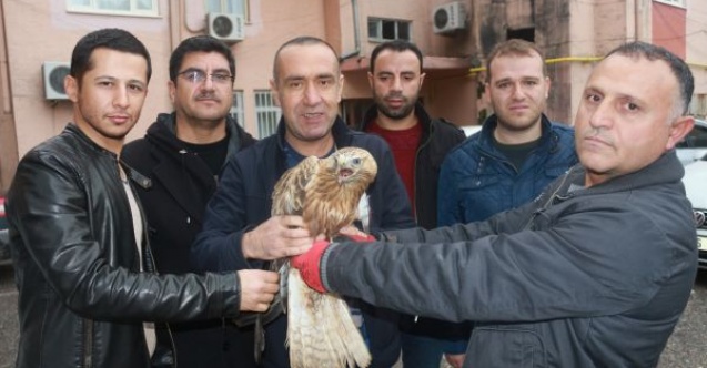 Göreve giderken gördükleri kartalı ölmekten kurtardılar