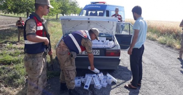Jandarma kaçak sigara ele geçirdi