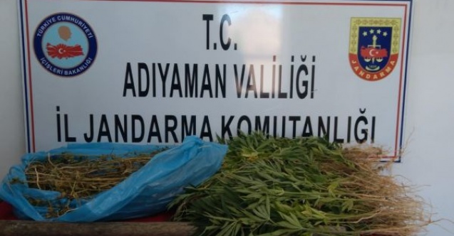 Jandarma uyuşturucu madde ele geçirdi