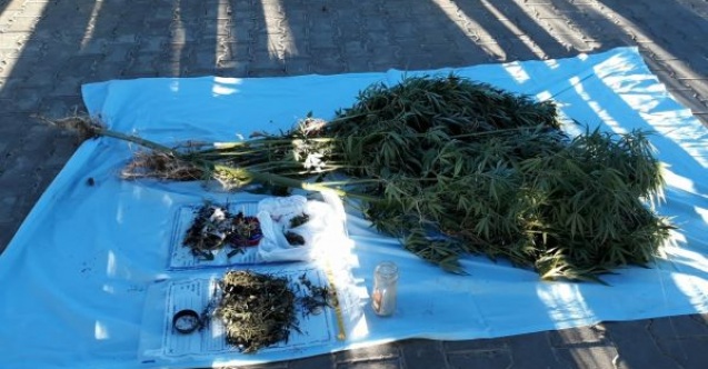 Jandarma uyuşturucu satıcılarına göz açtırmıyor