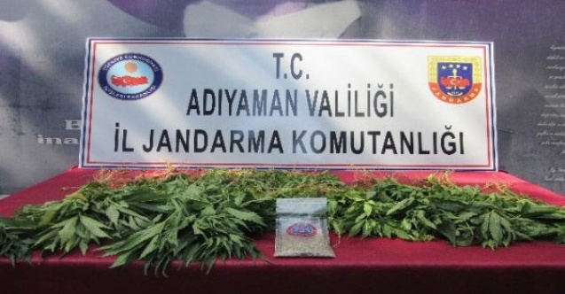 Jandarma uyuşturucu tacirlerine göz açtırmıyor