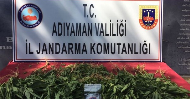Jandarma uyuşturucuya geçit vermiyor