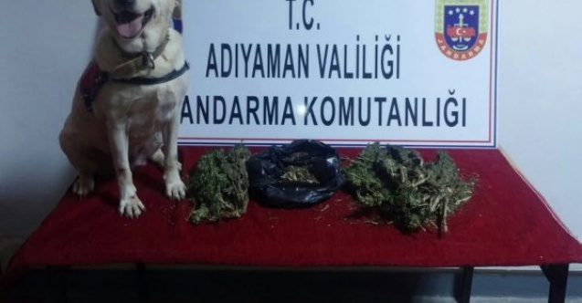Jandarma uyuşturucuya geçit vermiyor
