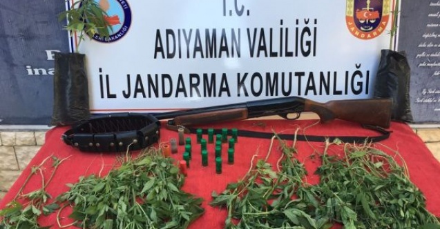 Jandarmadan uyuşturucu operasyonu