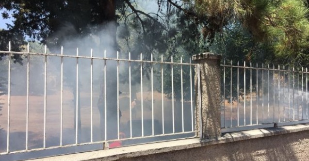 Jandarmanın dikkati sayesinde onlarca ağaç son anda kurtarıldı