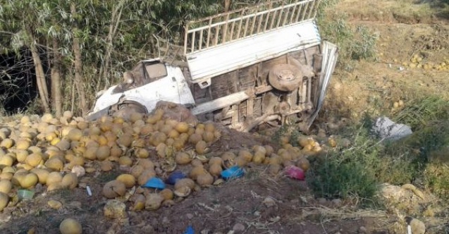 Kavun yüklü kamyonet tarlaya uçtu:1 yaralı