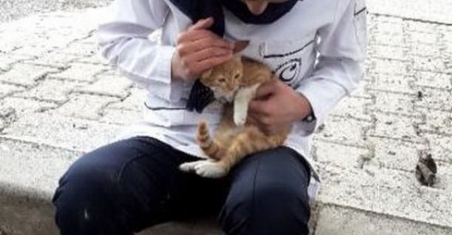 Kız öğrenci ağaca tırmanıp mahsur kalan kediyi kurtardı