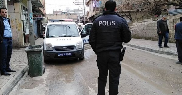 Mazgal fareleri yakalandı