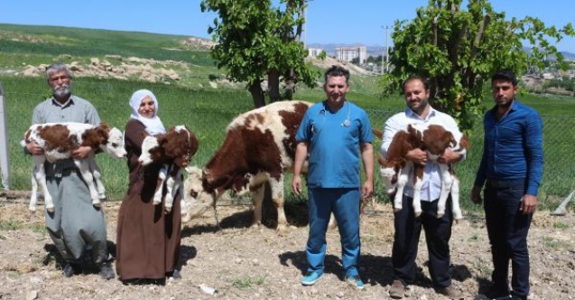Milyonda bir görülen doğum Adıyamanda yaşandı 